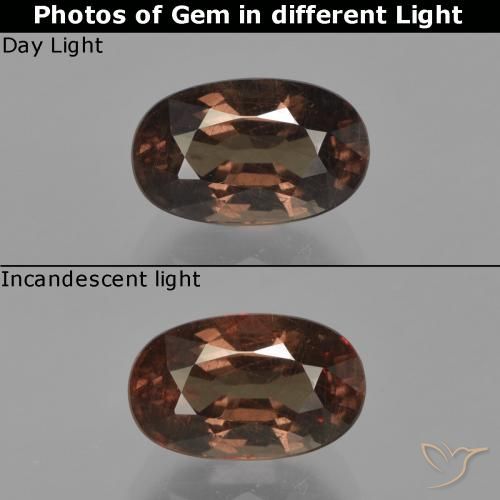 2.64ct Naturale Marrone medio Granato cangiante, Ovale, VS
