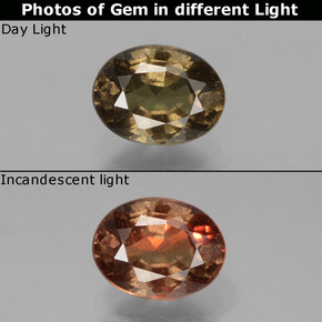 Granato cangiante naturale marrone da 0,89 ct, taglio ovale, VS