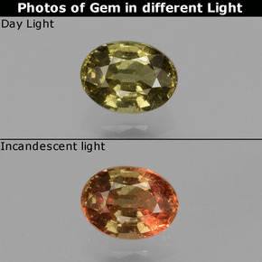 Granato cangiante Marrone dorato verdastro naturale da 0.50 ct, Taglio ovale, VS