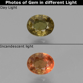 Granato cangiante Marrone medio-scuro naturale da 0.55 ct, Taglio ovale, VS