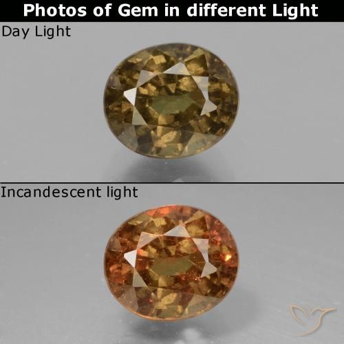 1.55ct Naturale Marrone scuro Granato cangiante, Ovale, VS-SI