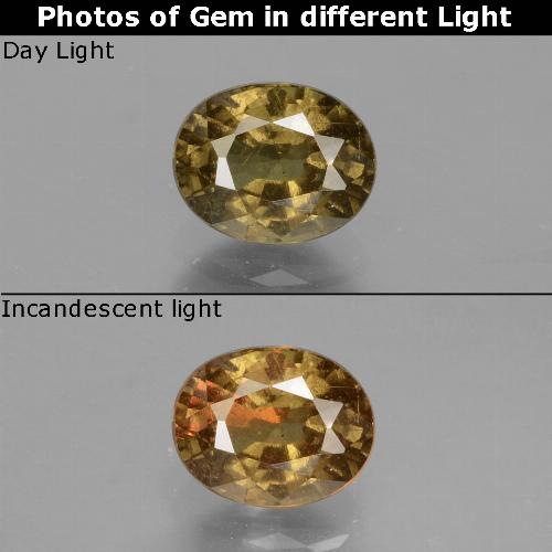 Granato cangiante Marrone medio-scuro naturale da 1.05 ct, Taglio ovale, VS-SI