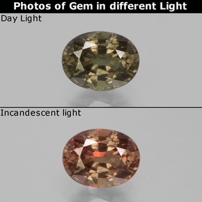 Granato cangiante Marrone scuro naturale da 0.98 ct, Taglio ovale, VS