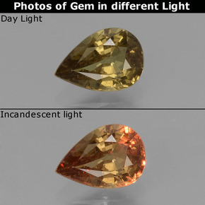 Granato cangiante Marrone verdastro a rosa rossa naturale da 0.61 ct, Forma a pera, VS