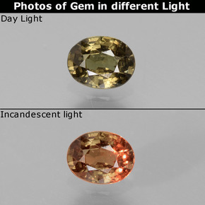 Granato cangiante naturale marrone da 0,77 ct, taglio ovale, VS