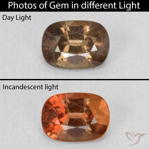 1.08ct Naturale Marrone scuro Granato cangiante, Ovale, VS