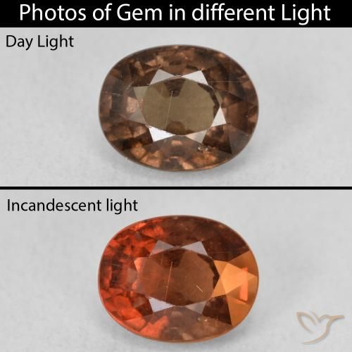 1.89ct Naturale Marrone scuro Granato cangiante, Ovale, VS