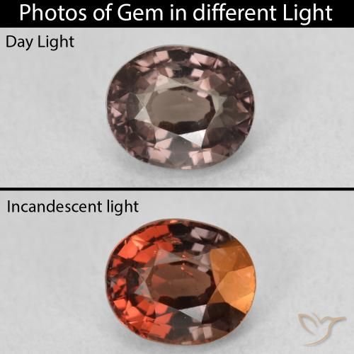 1.36ct Naturale Marrone scuro Granato cangiante, Ovale, VS