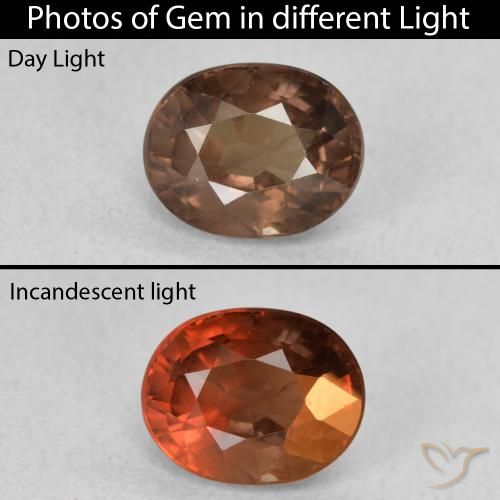 1.57ct Naturale Marrone scuro Granato cangiante, Ovale, VS