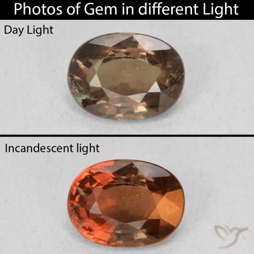 1.16ct Naturale Marrone scuro Granato cangiante, Ovale, VS