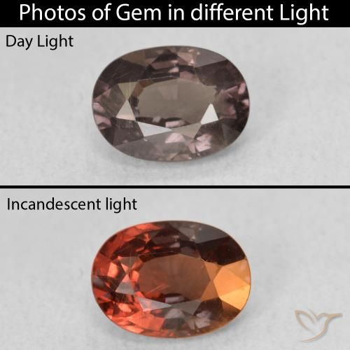 1.06ct Naturale Marrone scuro Granato cangiante, Ovale, VS