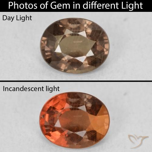 1.01ct Naturale Marrone scuro Granato cangiante, Ovale, VS