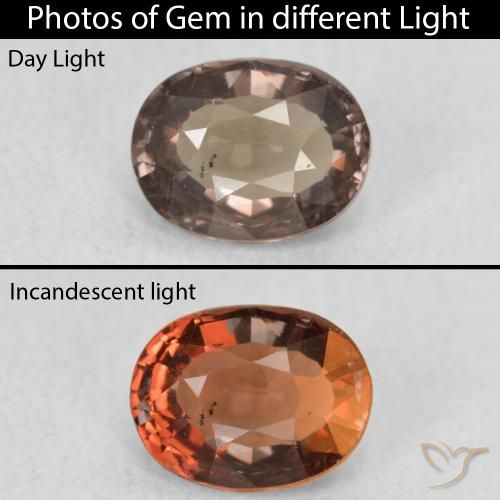 0.94ct Naturale Marrone scuro Granato cangiante, Ovale, VS