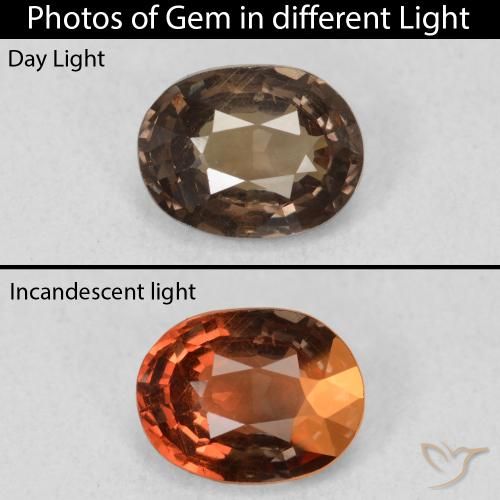 1.26ct Naturale Marrone scuro Granato cangiante, Ovale, VS