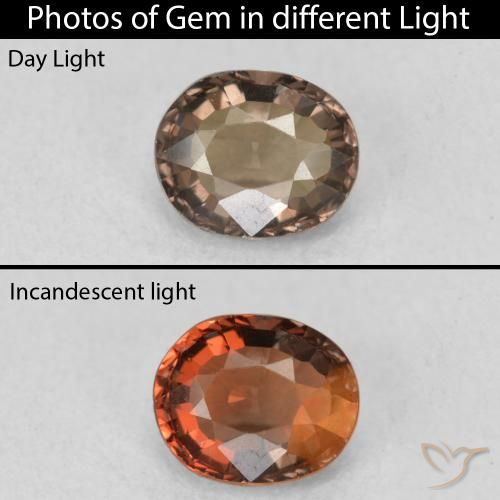 1.03ct Naturale Marrone caldo Granato cangiante, Ovale, VVS