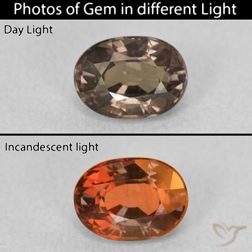 1.04ct Naturale Hickory Brown Granato cangiante, Ovale, VVS