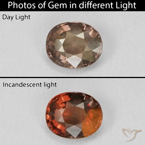 1.46ct Naturale marrone pecan Granato cangiante, Cuscino, VVS-VS