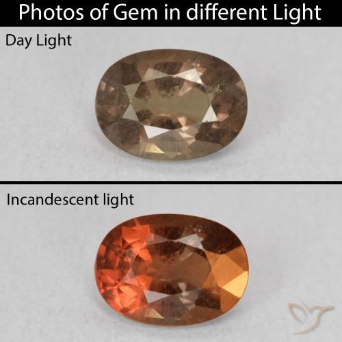 0.93ct Naturale Marrone Chiaro Medio Granato cangiante, Ovale, VS