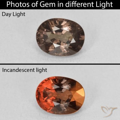 1.57ct Naturale Marrone scuro Granato cangiante, Ovale, VS