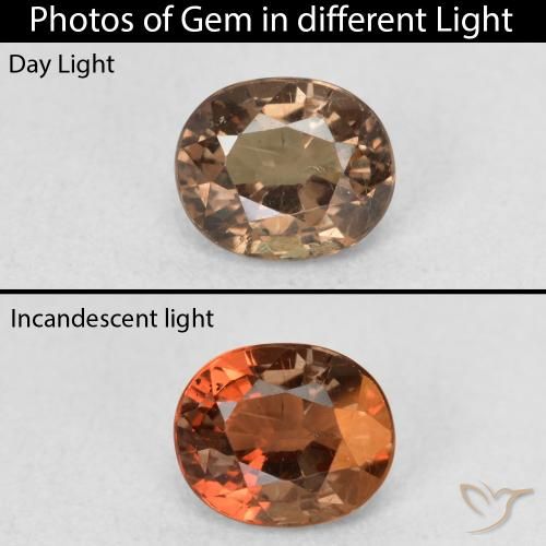 0.94ct Naturale Marrone scuro Granato cangiante, Ovale, VS