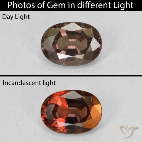 1.34ct Naturale Marrone scuro Granato cangiante, Ovale, VS
