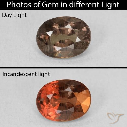 0.97ct Naturale Marrone scuro Granato cangiante, Ovale, VS