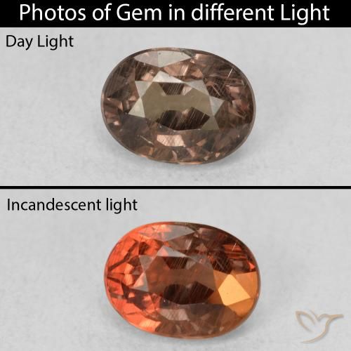 0.96ct Naturale Marrone scuro Granato cangiante, Ovale, VS
