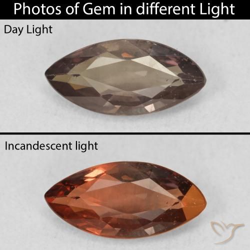 1.03ct Naturale Marrone scuro Granato cangiante, Taglio marquise, VVS-VS