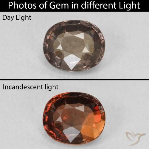 1.30ct Naturale Marrone scuro Granato cangiante, Ovale, VVS-VS