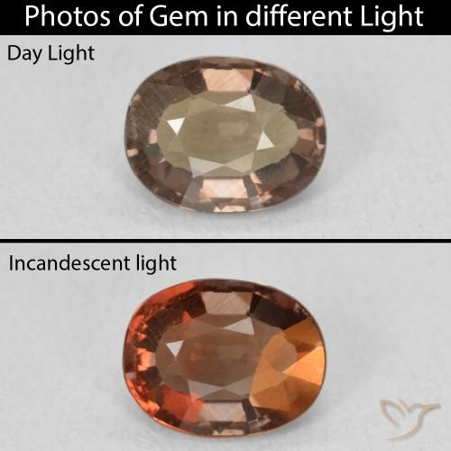 Granato cangiante Marrone scuro naturale da 1.32 ct, Ovale, VVS-VS