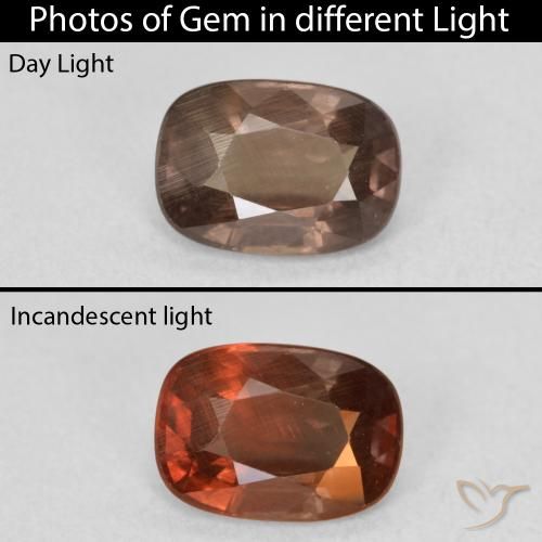 1.50ct Naturale Marrone scuro Granato cangiante, Cuscino, VS