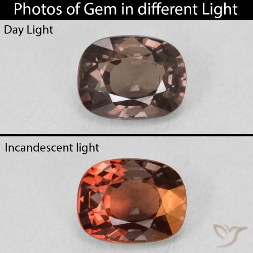 1.47ct Naturale Marrone scuro Granato cangiante, Cuscino, VS