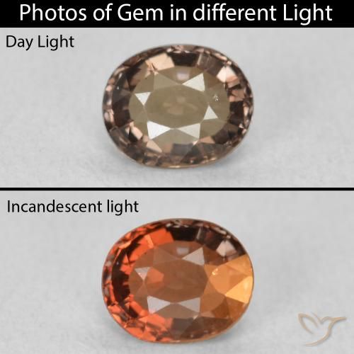 0.80ct Naturale Marrone scuro Granato cangiante, Ovale, VVS