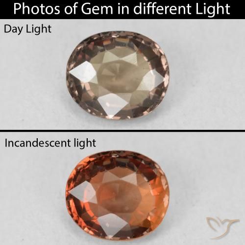 1.16ct Naturale Marrone scuro Granato cangiante, Ovale, VVS