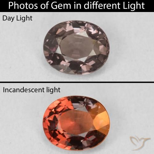 1.03ct Naturale Hickory Brown Granato cangiante, Ovale, VVS