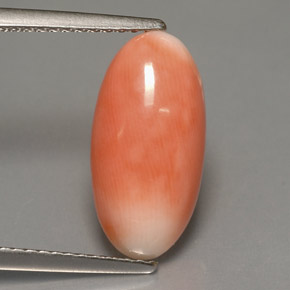 Corallo naturale bicolore da 3,18 ct, taglio ovale, opaco