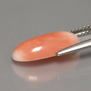 Corallo naturale bicolore da 3,18 ct, taglio ovale, opaco