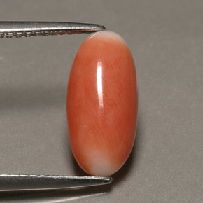 Corallo naturale bicolore da 2,23 ct, taglio ovale, opaco