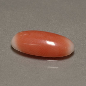 Corallo naturale bicolore da 2,23 ct, taglio ovale, opaco