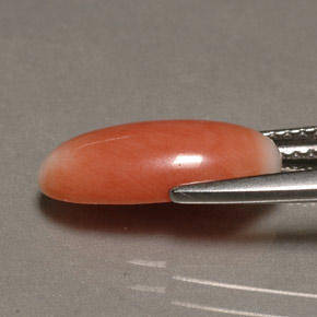 Corallo naturale bicolore da 2,23 ct, taglio ovale, opaco