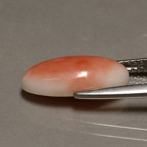 Corallo naturale rosa da 3,10 ct, taglio ovale, opaco