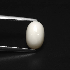 Corallo naturale bianco da 2,49 ct, taglio ovale, opaco