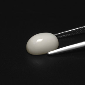 Corallo naturale bianco da 2,49 ct, taglio ovale, opaco
