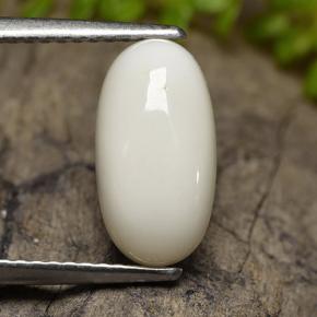 Corallo Bianco naturale da 2.47 ct, Taglio ovale, Opaco