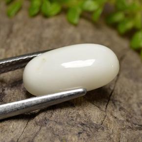 Corallo Bianco naturale da 2.47 ct, Taglio ovale, Opaco