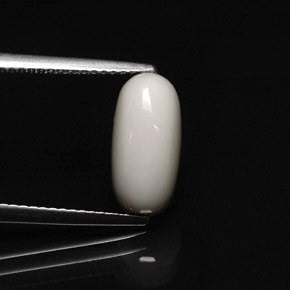 Corallo Bianco naturale da 2.91 ct, Taglio ovale, Opaco