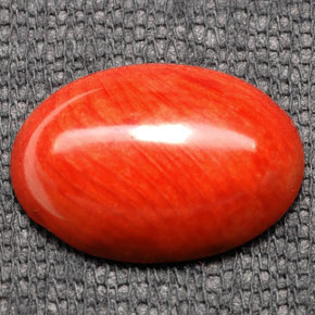 Corallo naturale arancione da 7,43 ct, taglio ovale, opaco