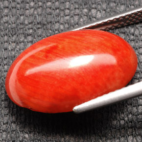 Corallo naturale arancione da 7,43 ct, taglio ovale, opaco