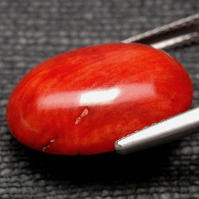 Corallo Arancione naturale da 9.84 ct, Taglio ovale, Opaco