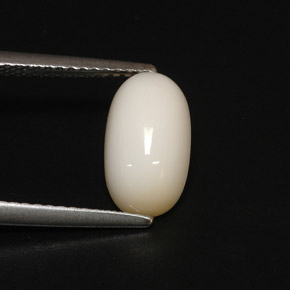 Corallo naturale bianco da 2,81 ct, taglio ovale, opaco